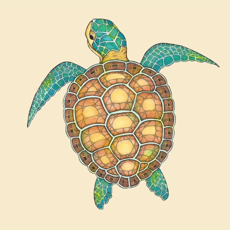 Sea Turtle Hand Drawn