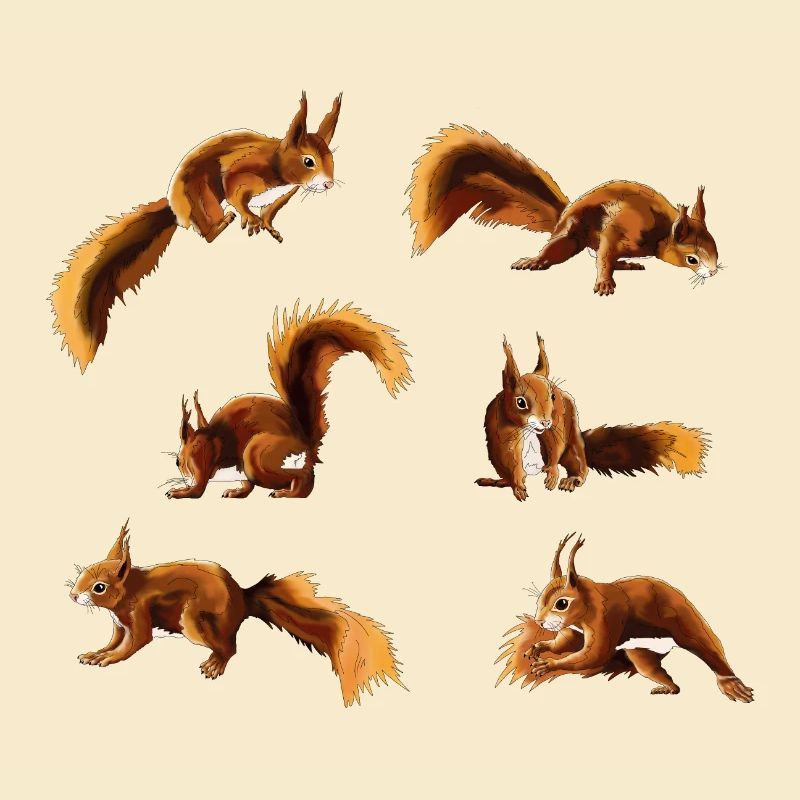 Squirrel