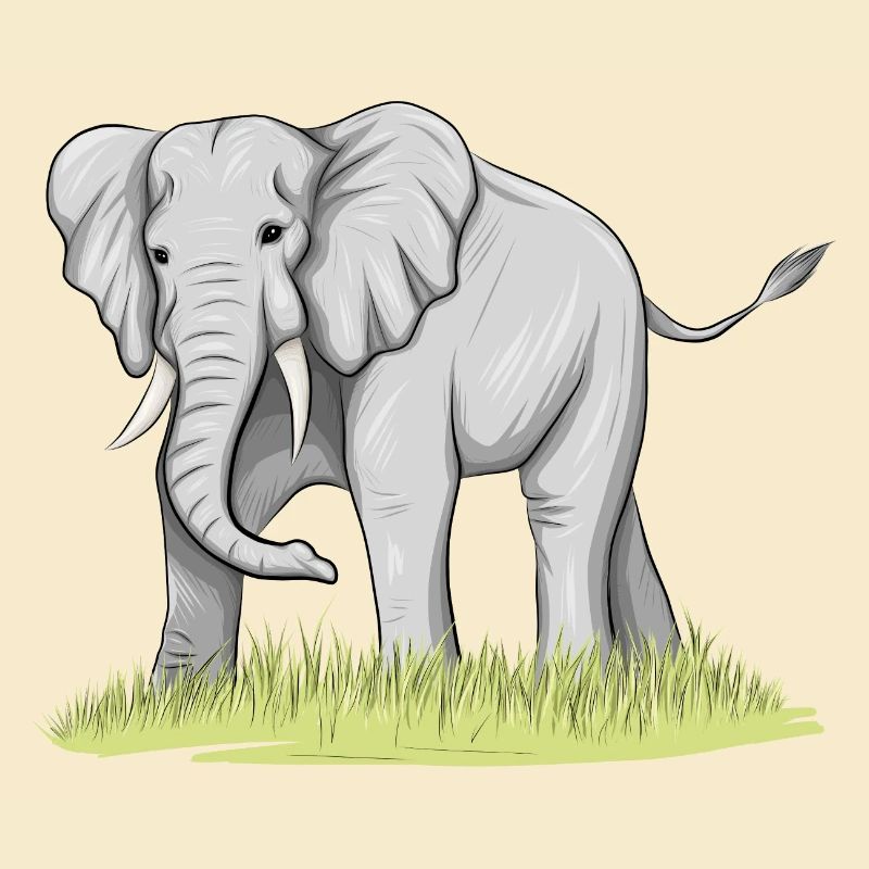 Elefant