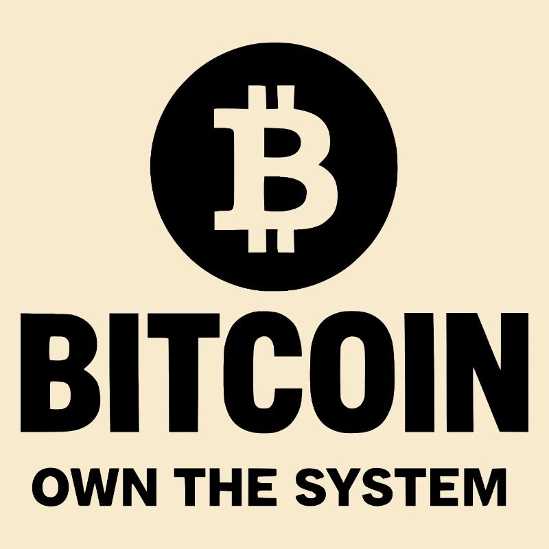 Bitcoin - Posséder le système