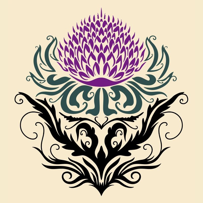 Chardon pourpre Chardon