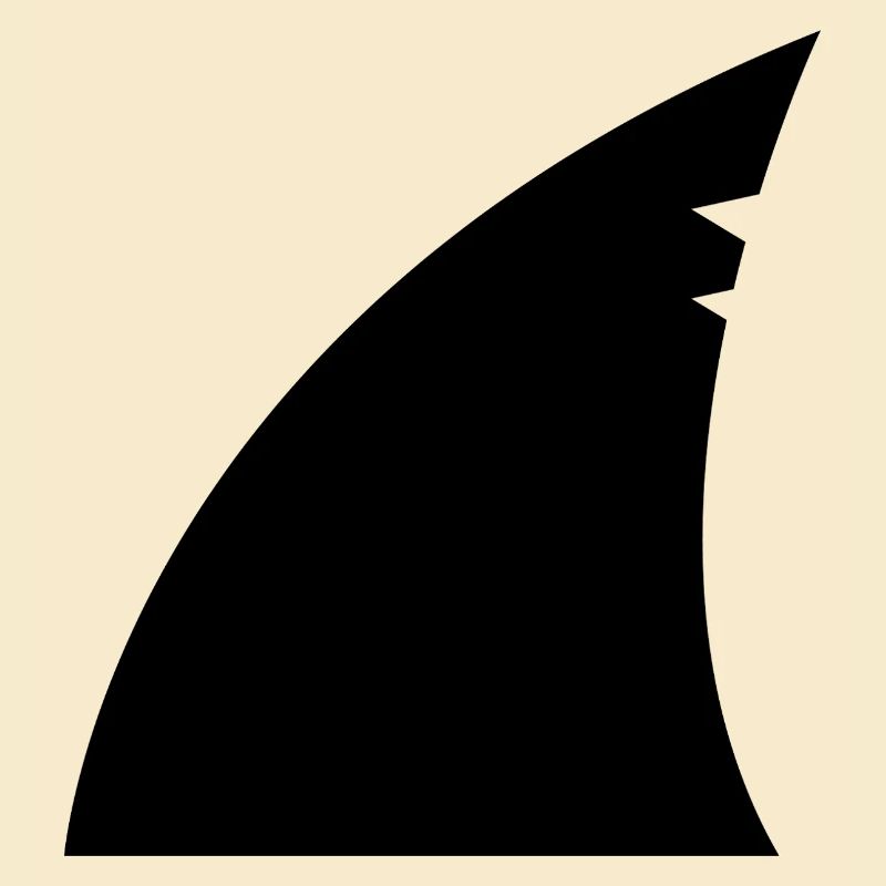 Aileron de requin