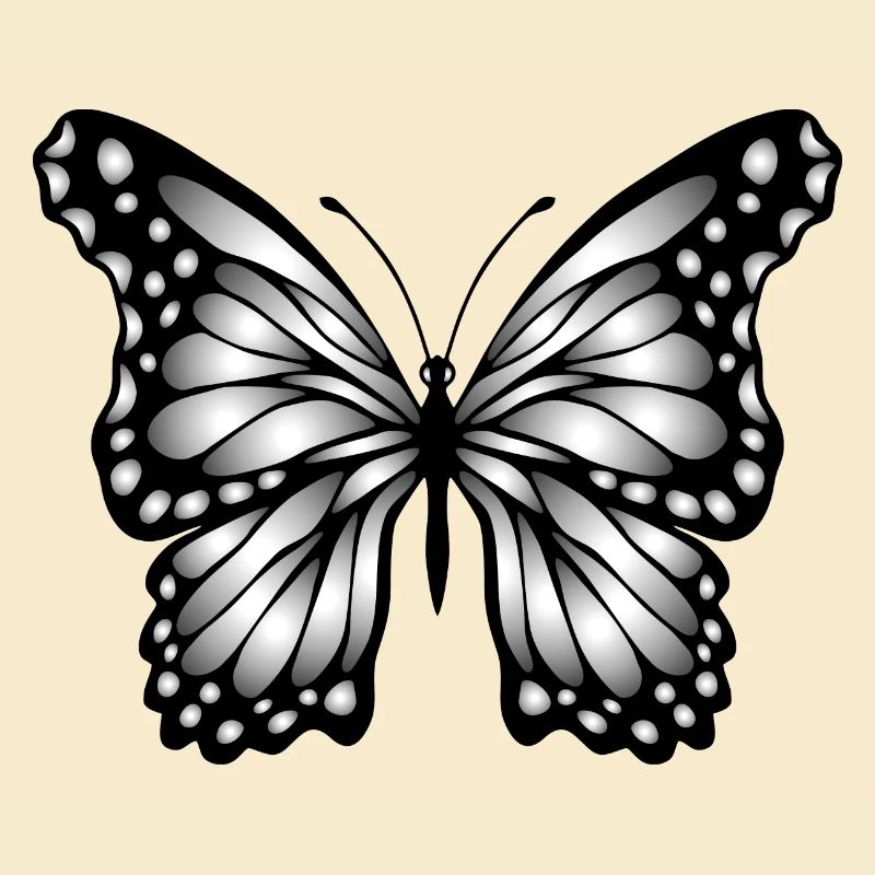 Papillon