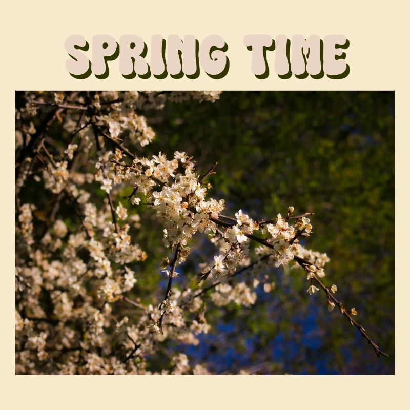Spring Time