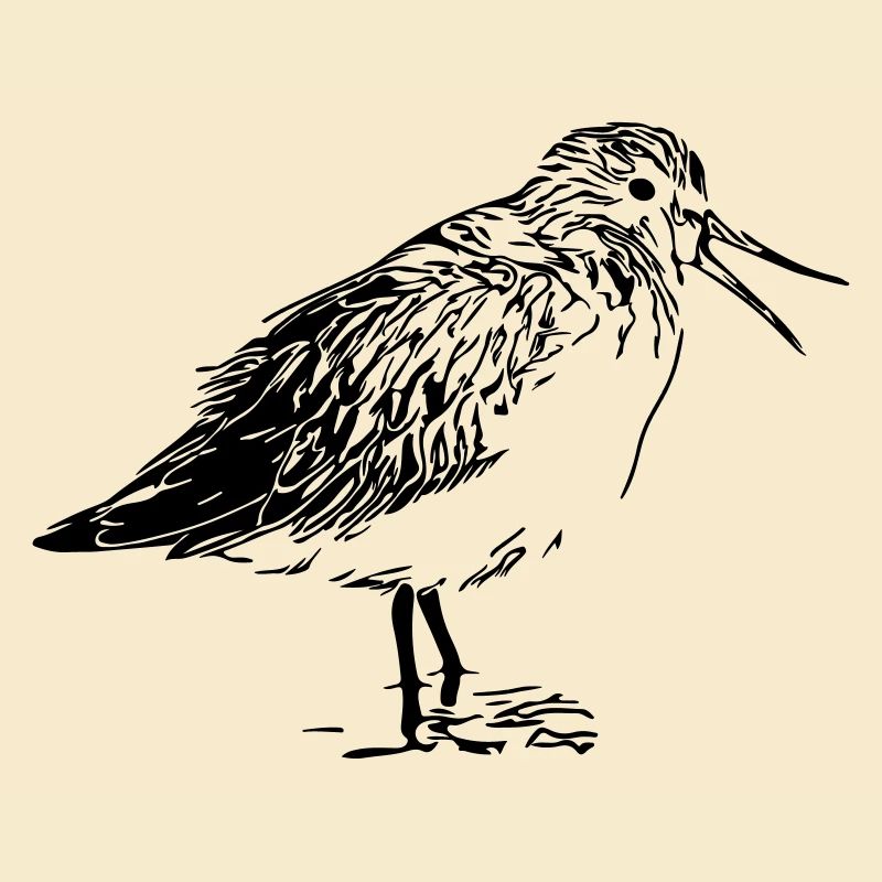 Coureur de la rivière Oiseau