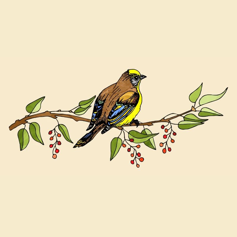 Vogel