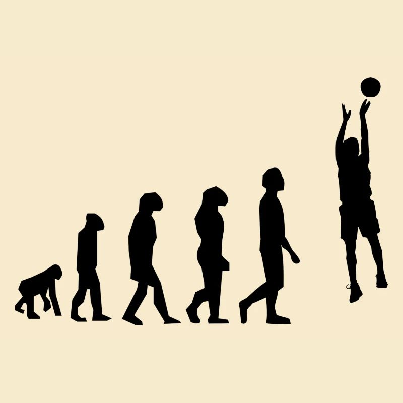 basket évolution
