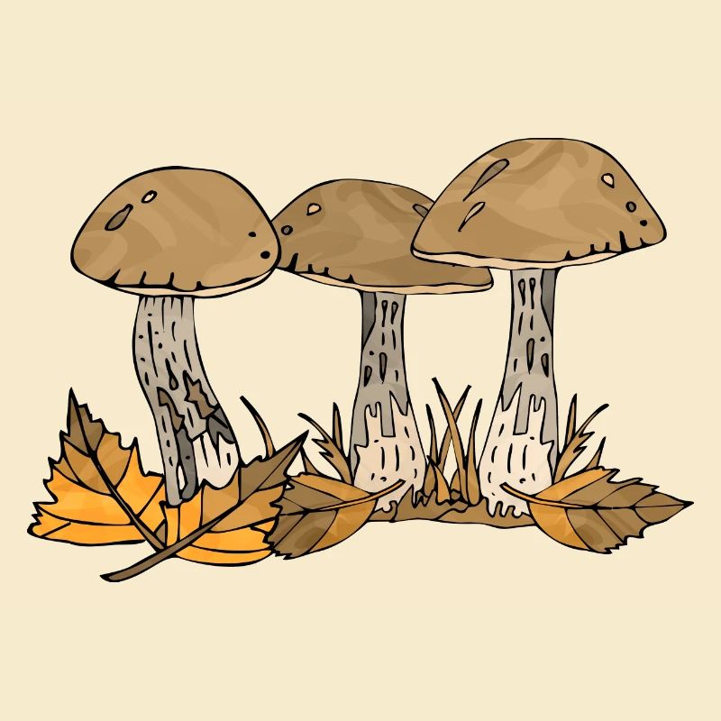 Mycètes