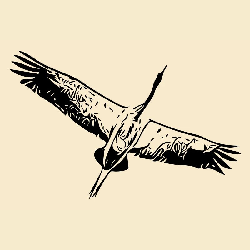 Reiher Vogel im Flug