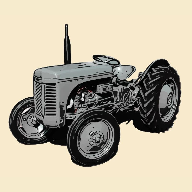 Alter Fergie TE20 Traktor