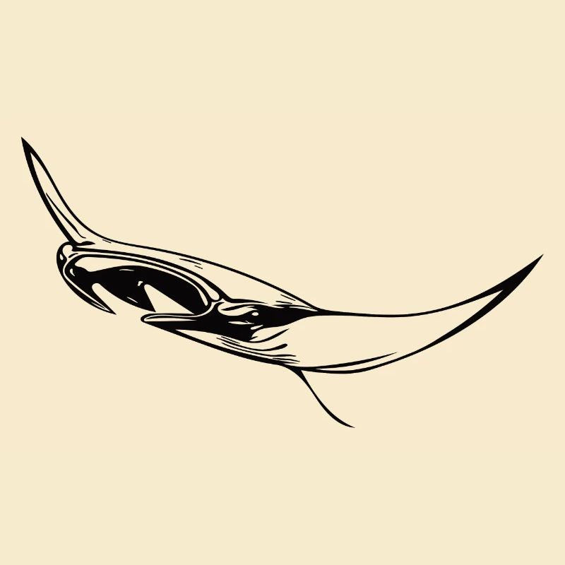 Elegant floating manta rays