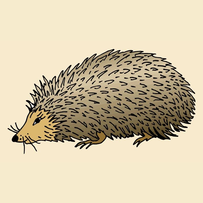 Hérisson
