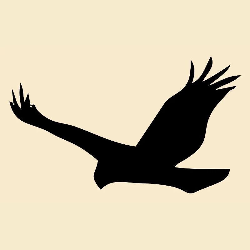 Bird Eagle Birds Fly