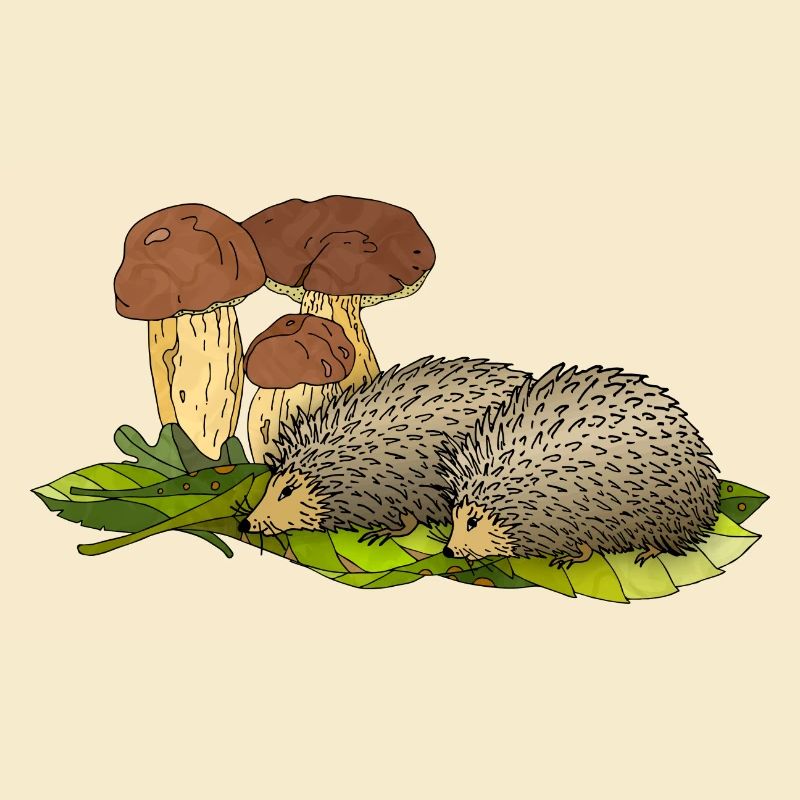 Hedgehogs