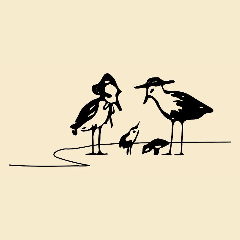Seagulls