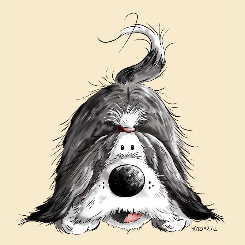 Bearded Collie