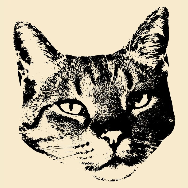 Chat Chat Chat Chat Chemise Cadeau