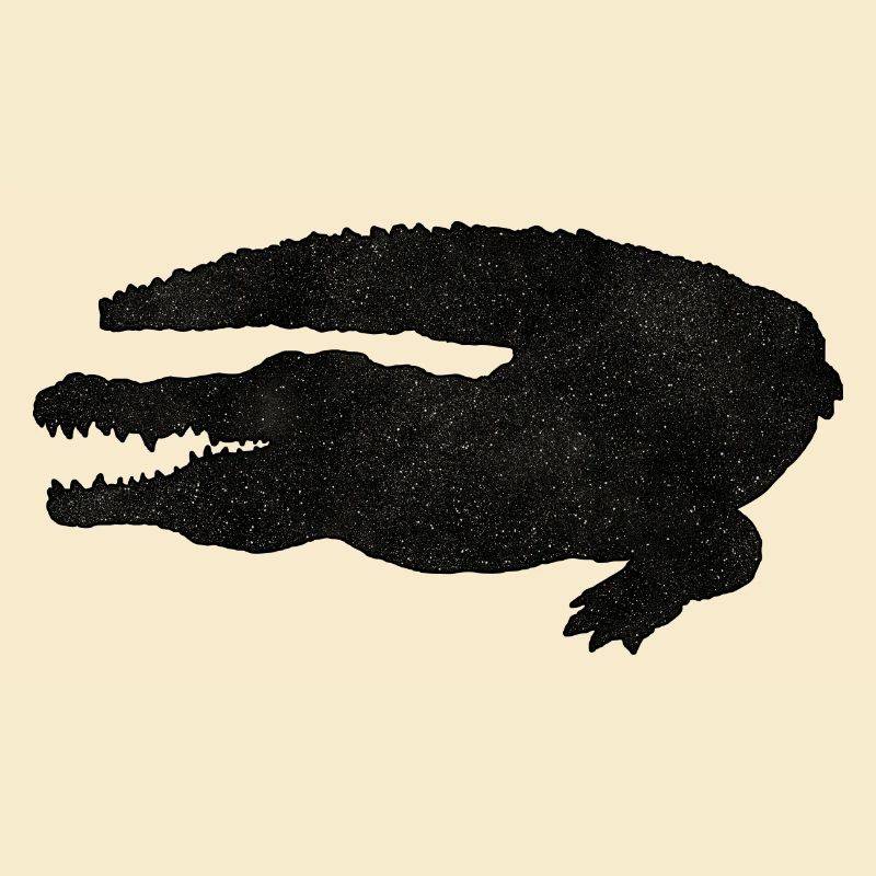 Crocodile
