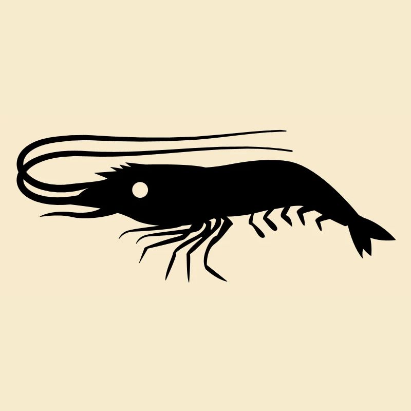 single shrimp prawn with antennae