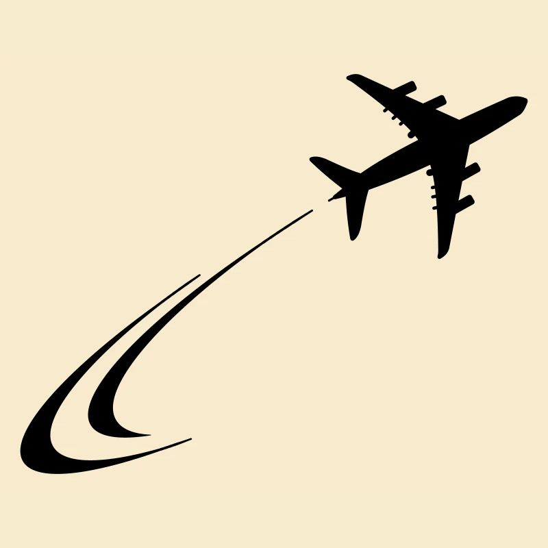 Plane flies away