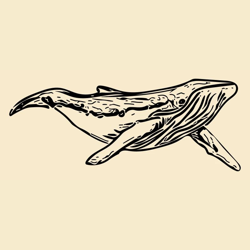 whale