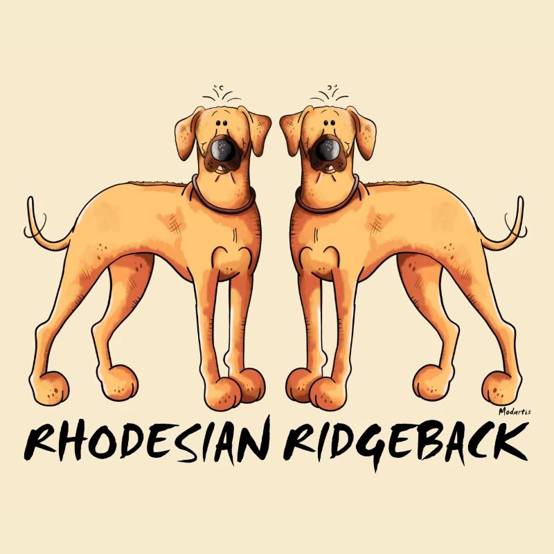 Two Rhodesian Ridgeback