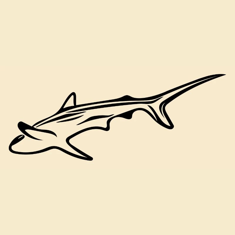 Requin élégant dans le courant de dérive