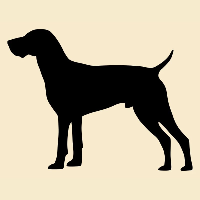 German Shorthaired Pointer