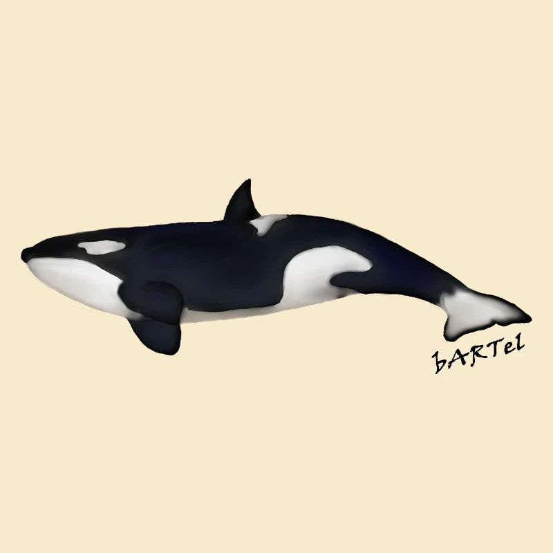 Orca 2