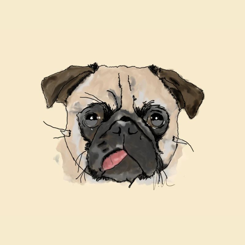 Mops