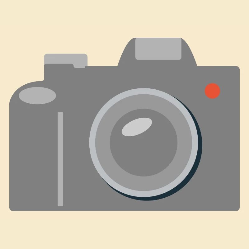 Camera Icon Graphic Gray