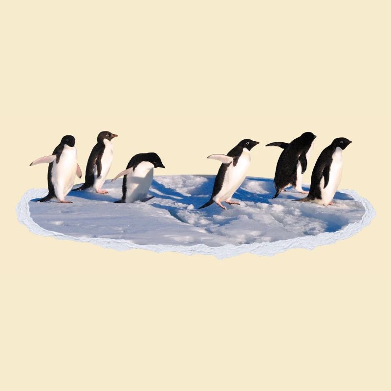 Pinguine auf einer Eisscholle Pinguin
