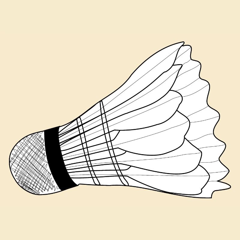Volant de badminton