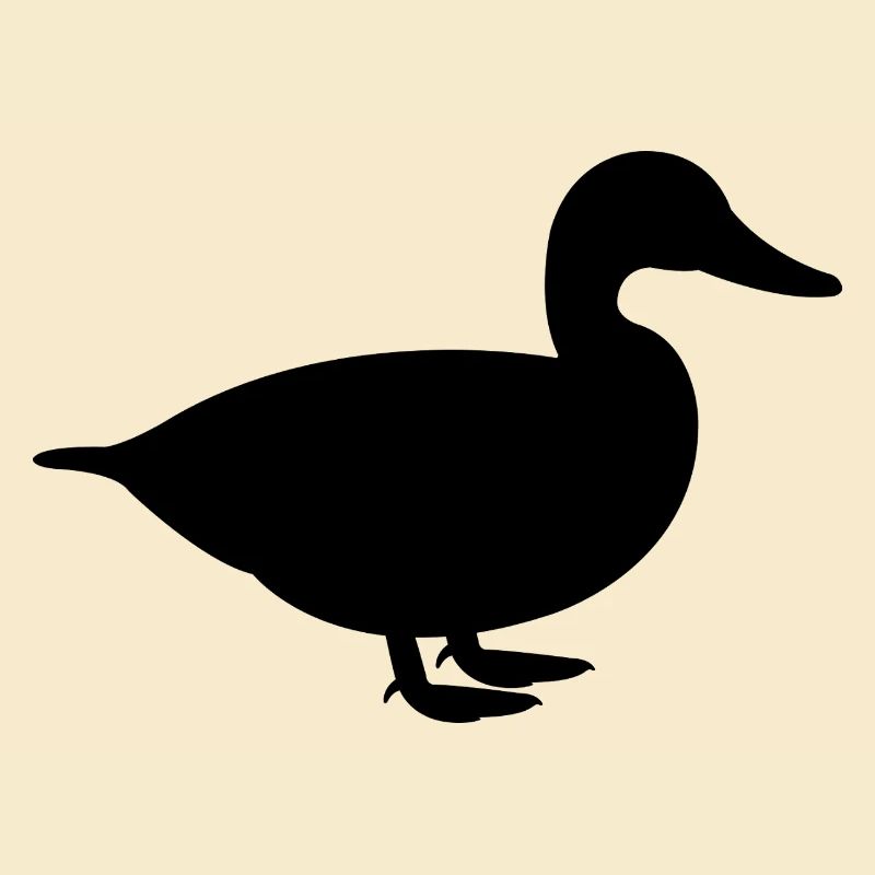 Canard