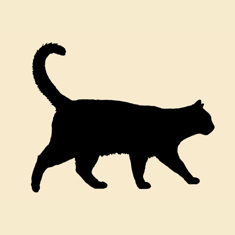 Katze