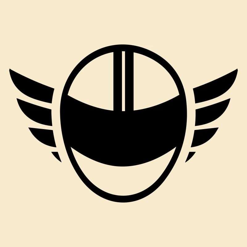 Motorcycle helmet with wings
