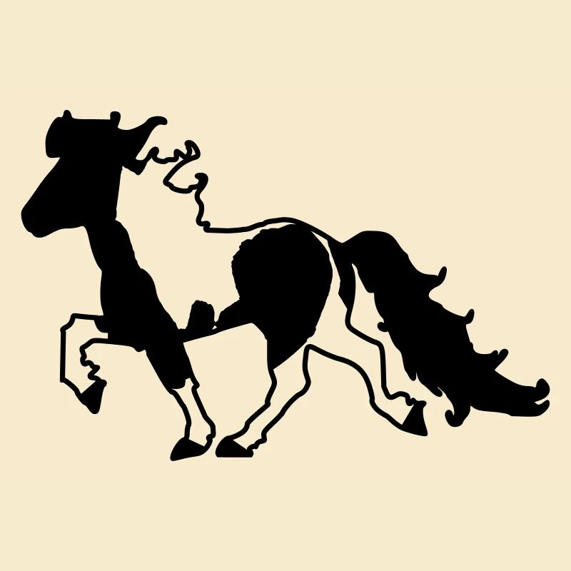 Islandpferd Schecke Reiten Pferde Tölt