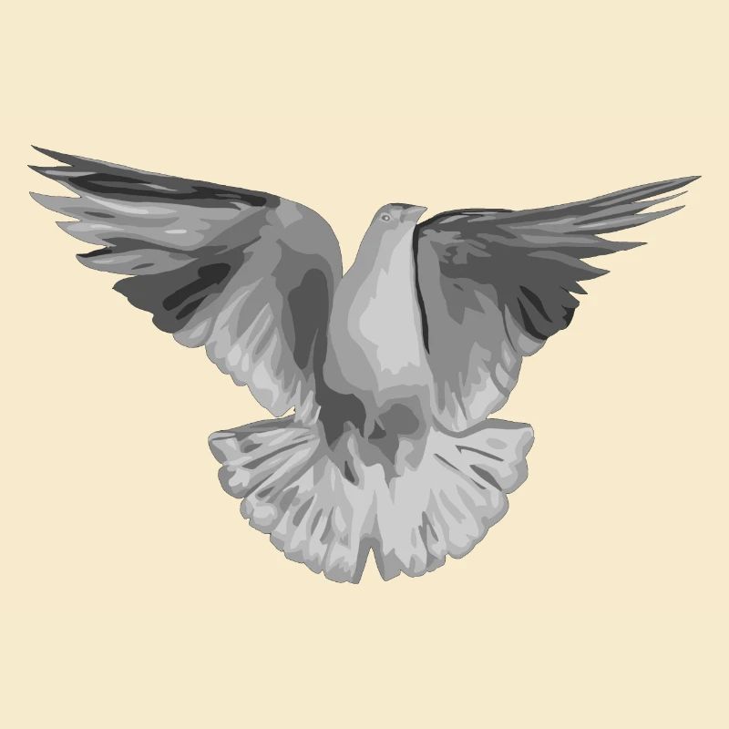 Gris pâle tourterelle
