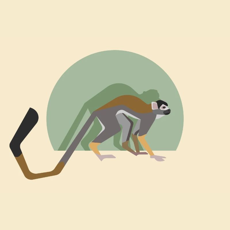 Squirrel monkey