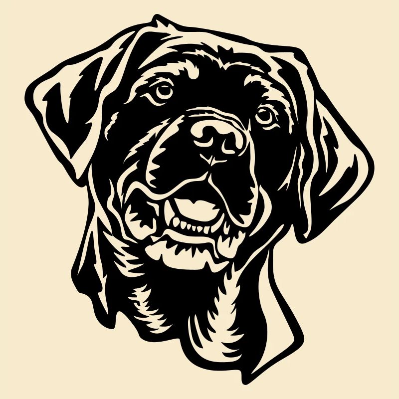 Tête de labrador