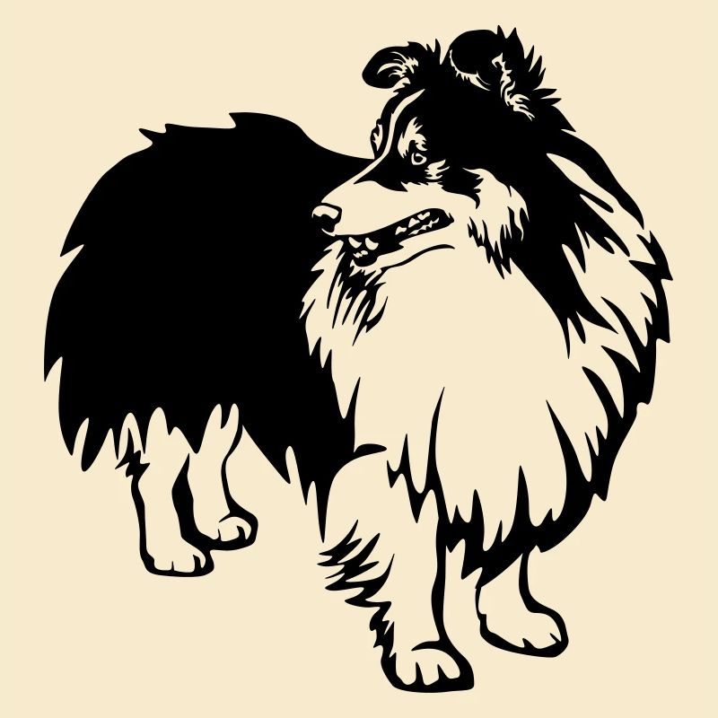 Sheltie