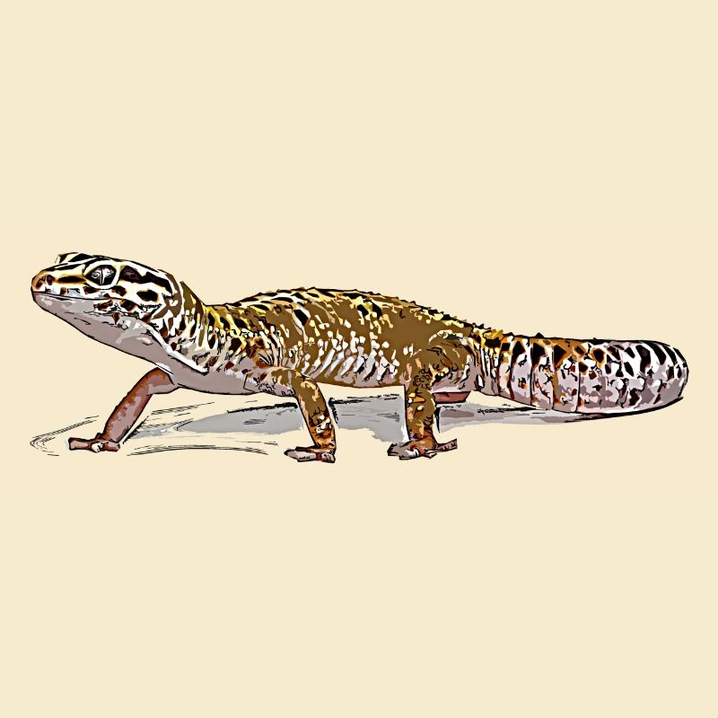 Leopard gecko