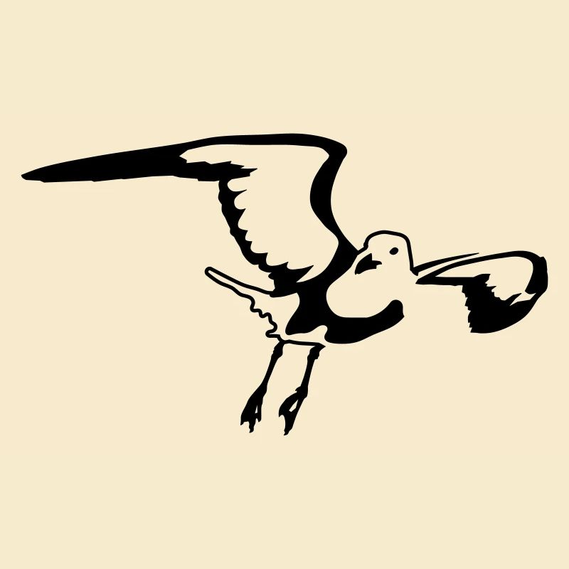 Möwe