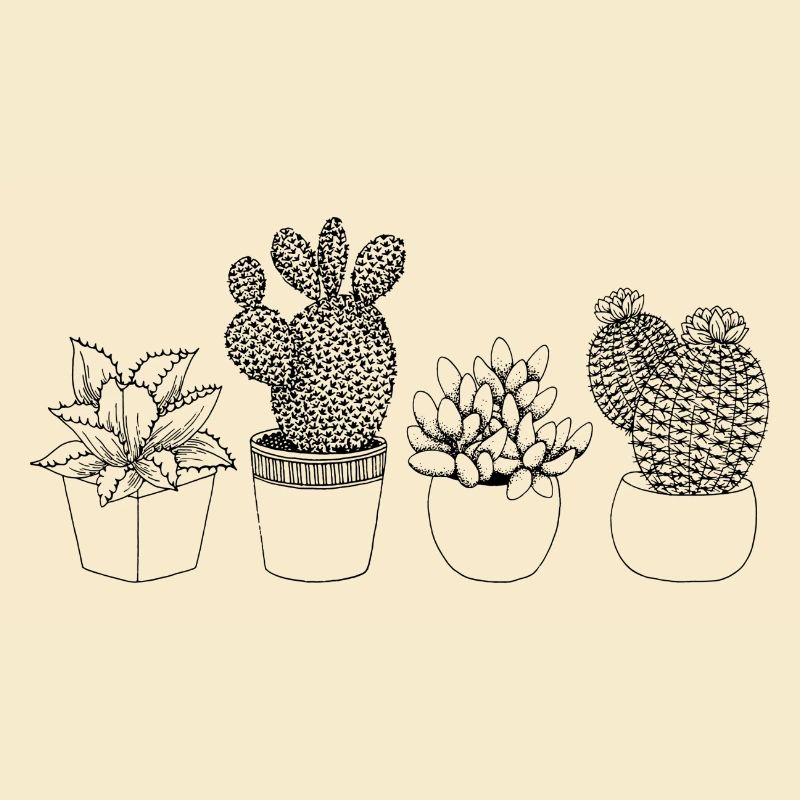 Illustration de cactus minimaliste