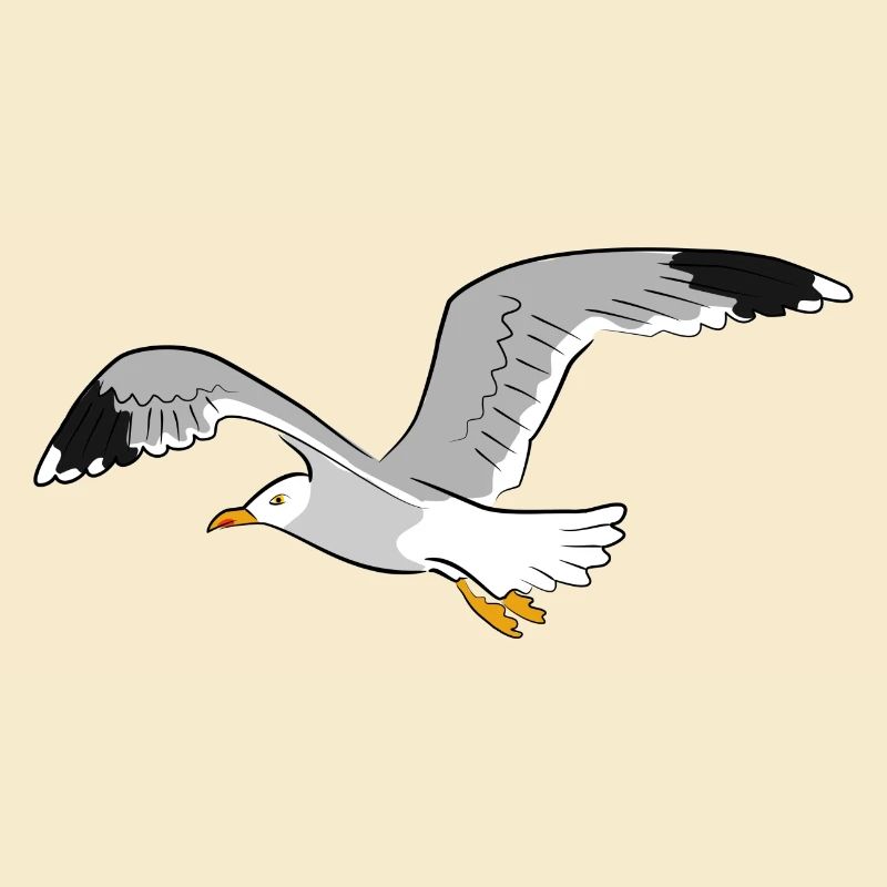 mouette