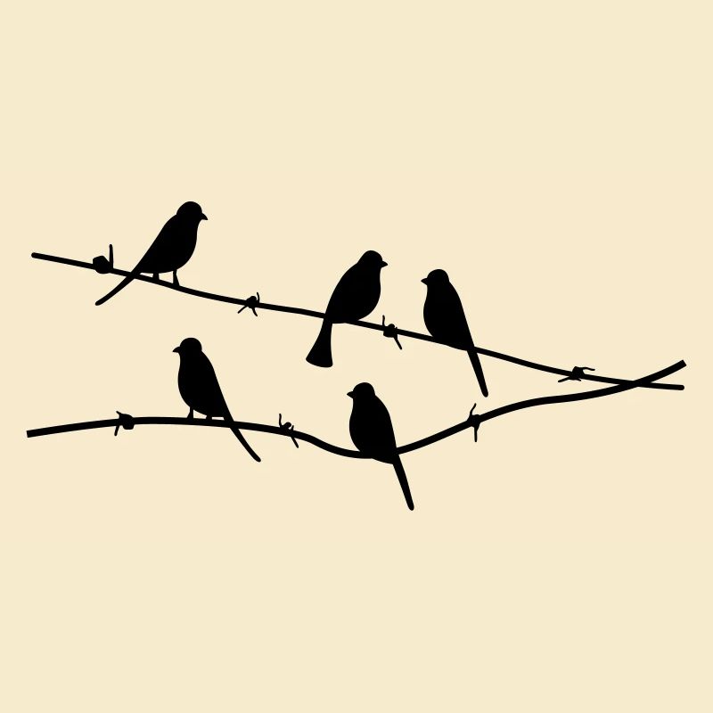 birds