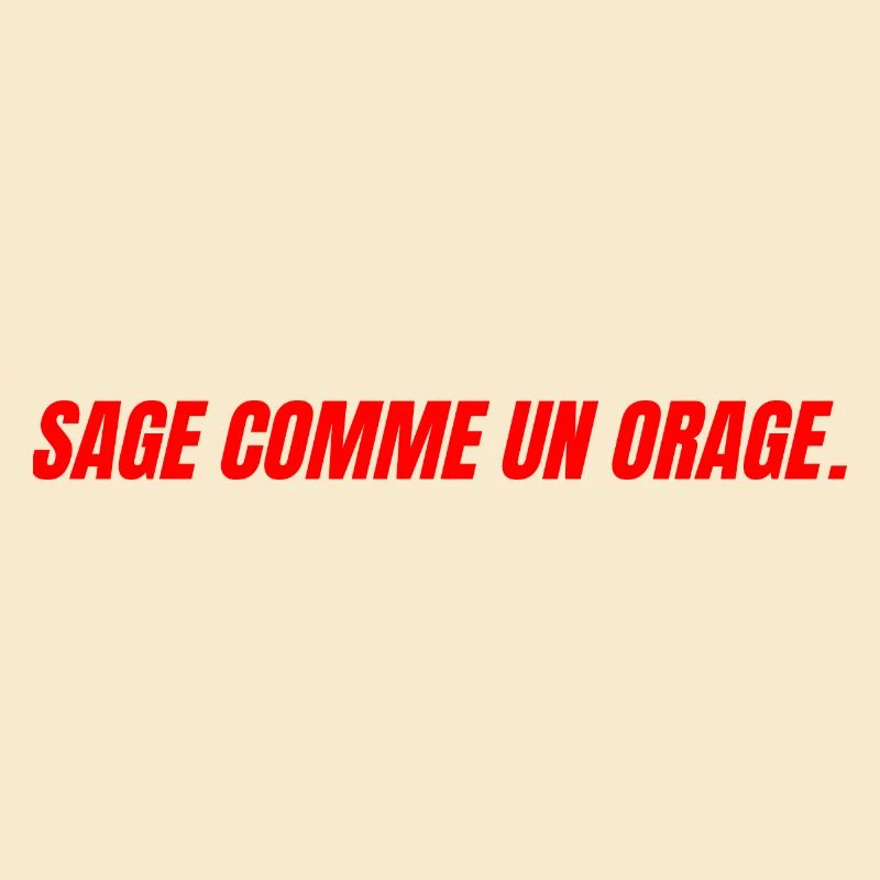 sage comme un orage
