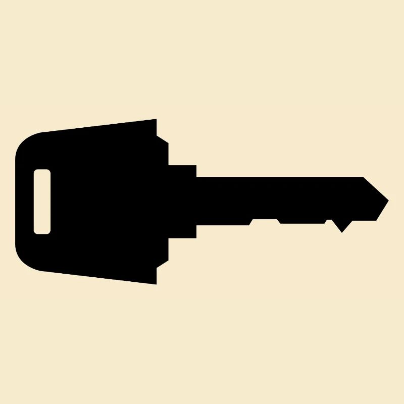 Car key