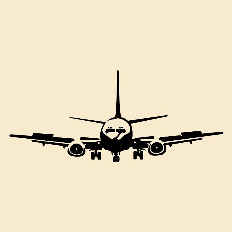 Passagierflugzeug