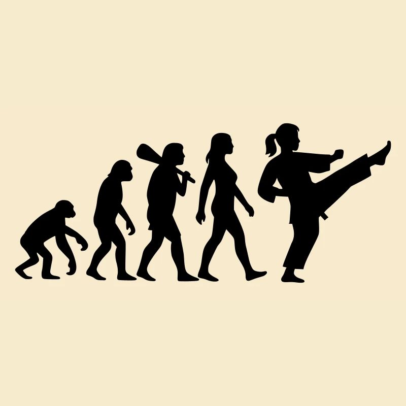 Karate Evolution